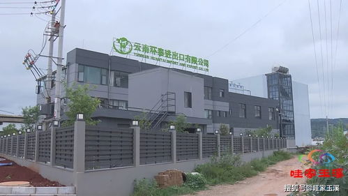 保持全省第一 上半年玉溪市農產品出口總額達10億美元