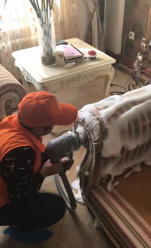 圖 西安新城專業保潔公司電話 專業清洗團隊公司 服務踏實,真情奉獻 西安保潔清洗